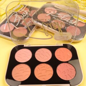 SEVENCOOL Professional Blusher Palate