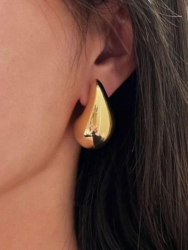 Dazzling Drop Earrings - Image 2