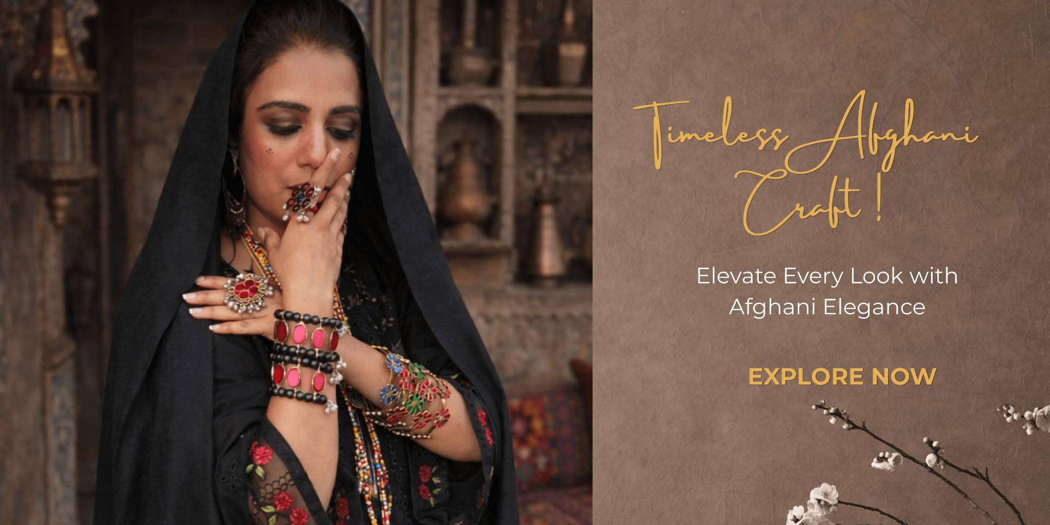 anam afghani_ banner2